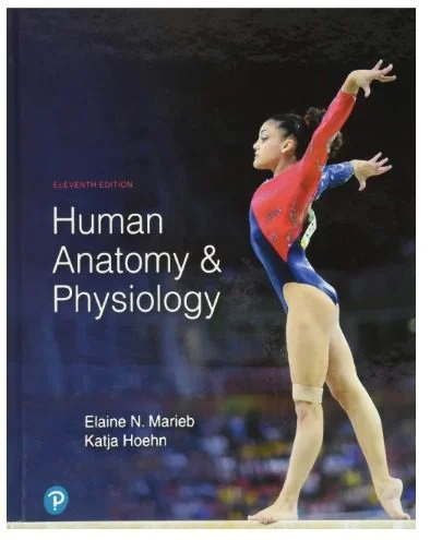 Human Anatomy & Physiology, 11th Edition, hardcover textbook (ISBN 978-0134580999) book cover